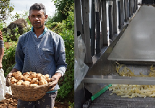Photo 059: Mr. Kumara, a happy potato farmer of Galabada Village, Bandarawela, Badulla district has got his income increased by 40% after joining the SAPP 4P family